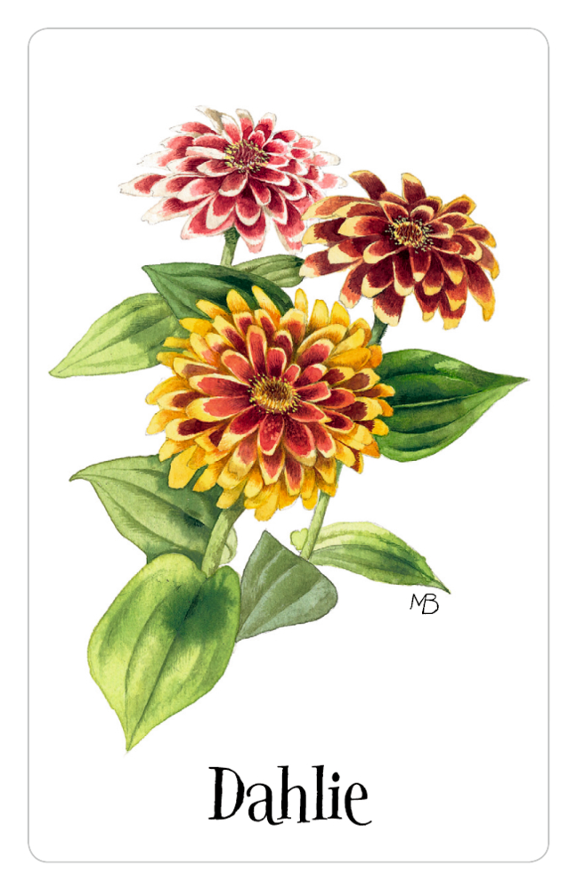 Schachtelspiel – Zauberhaftes Blumen-Memo (M. Bastin) Schachtelspiel – Zauberhaftes Blumen-Memo (M. Bastin)