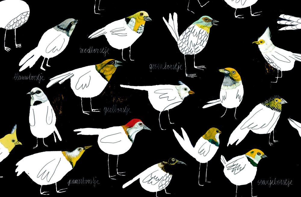 Komische Vögel Komische Vögel