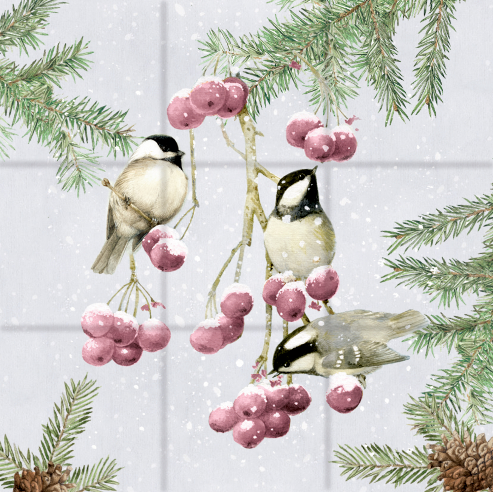 Drei kleine Vögel auf schneebedeckten Zweigen mit roten Beeren und Tannennadeln.