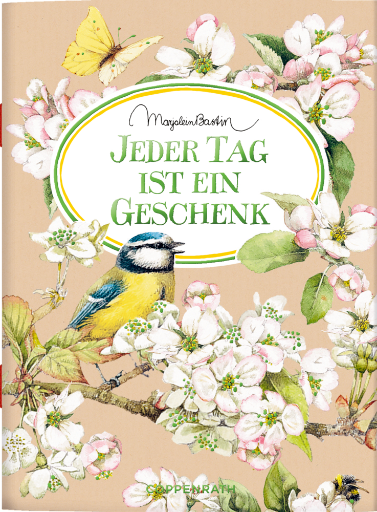 Schöne Grüße: Jeder Tag ist ein Geschenk (Bastin)