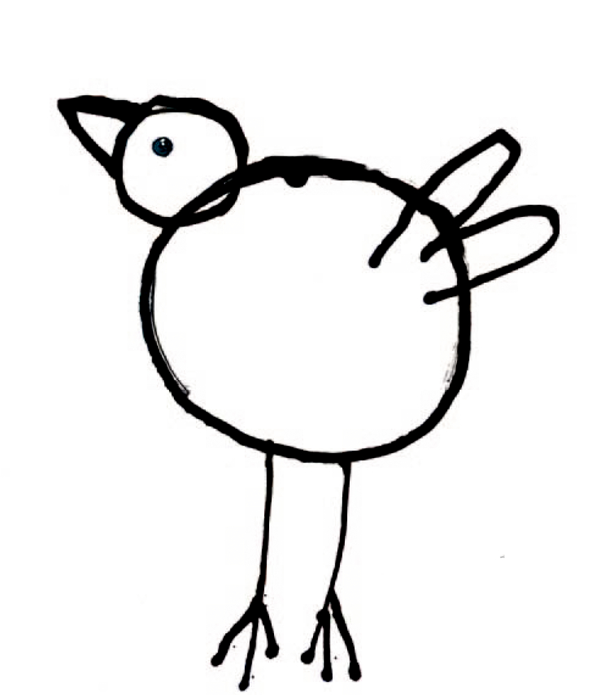 Komische Vögel Komische Vögel