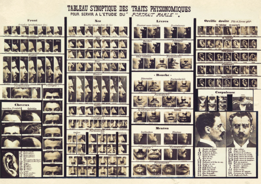 Beilage, Alte französische Tabelle vergleicht Gesichtszüge, Ohren und Profile zur Physiognomie, mit beschrifteten Fotoabschnitten.