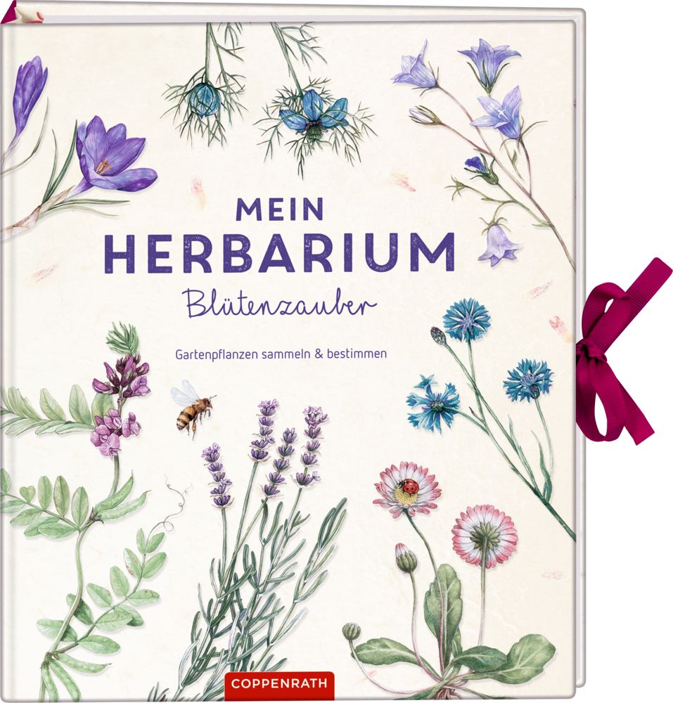 Mein Herbarium: Blütenzauber Buchcover mit botanischen Illustrationen von Blumen, einer Biene & Pflanzen; Titel: Mein Herbarium Blütenzauber.