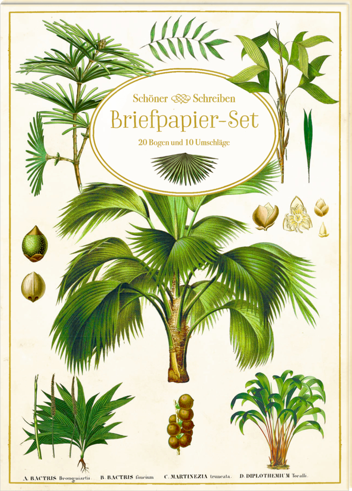 Briefpapier-Set - Sammlung Augustina