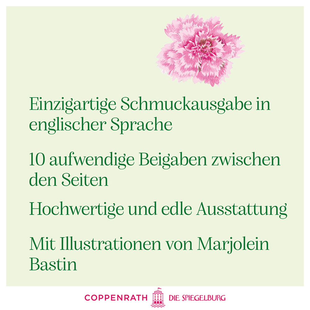 Farbige Fläche mit Verkaufsargumenten wie Einzigartige Schmuckausgabe in englischer Sprache.