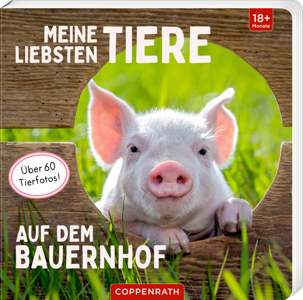 Meine liebsten Tiere auf dem Bauernhof Auf dem Cover eines  Kinderbuchs über Bauernhoftiere steckt ein Ferkel seinen Kopf durch einen Holzzaun mit dem Titel "Meine liebsten Tiere - Auf dem Bauernhof".
